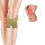 Moxibustion Patch Supplier - OEM Neck Muscle Knee Pains