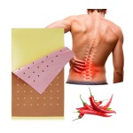 Herbal Pain Patch Factory - OEM Menthol Capsicum Relief