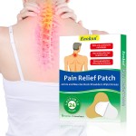Shoulder Pain Patch Factory - OEM Factory Price Chinese