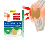 Herbal Knee Patch Manufacturer - OEM Far Infrared New Package