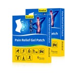 Gel Patches Factory - OEM Manufacturer Pain Relief Chinese