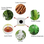 Slimming Patch Manufacturer - HAOBLOC Chinese Medical Weight Loss Care