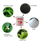 Foot Detox Pads Manufacturer - Natural Herbal Toxin Removal Bulk Wholesale
