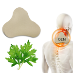 Neck Pain Patch Factory - OEM Herbal Plaster Warming