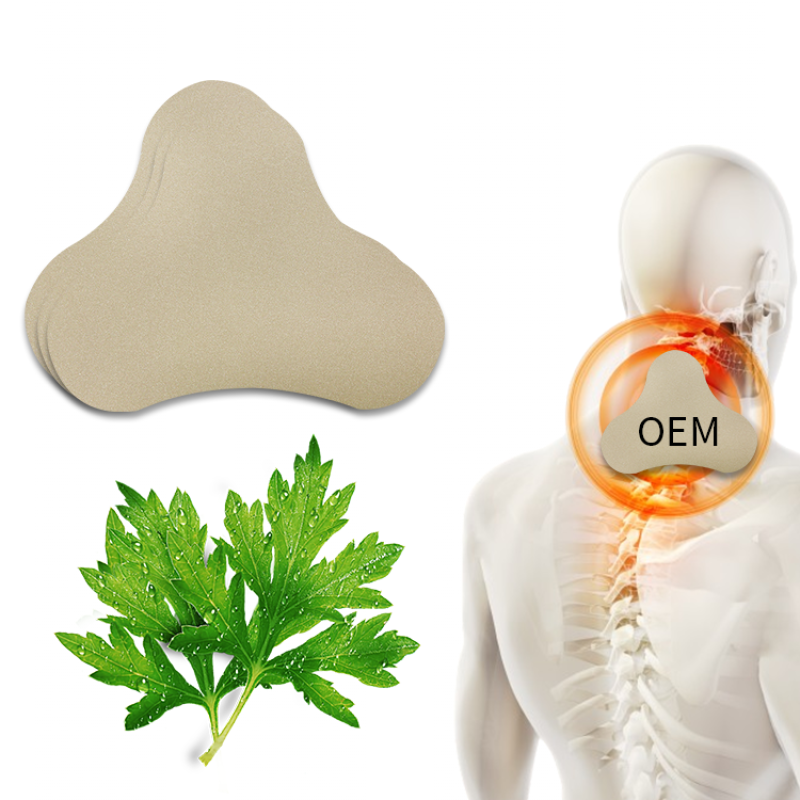 Neck Pain Patch Factory - OEM Herbal Plaster Warming