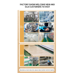 Man Health Patch Factory - OEM Natural Herbal Male Care