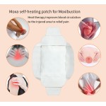Menstrual Cramp Patch Supplier - OEM Warm Paste Heat