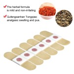 Foot Pain Patch Manufacturer - OEM Chinese Herbal Helosis