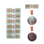 Foot Pain Patch Manufacturer - OEM Chinese Herbal Helosis