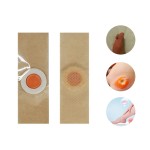 Foot Corns Patch Factory - OEM Chinese Herbal Plaster