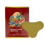 Wormwood Sticker Supplier - Cervical Knee Arthritis Moxibustion Plaster