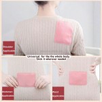 Wormwood Patches Supplier - 20pcs Self-Heating Waist Patch Thermal