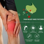 Pain Relief Patches Manufacturer - Herbal Safe Harmless Knee Care