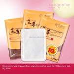 Wormwood Patches Supplier - 20pcs Self-Heating Waist Patch Thermal