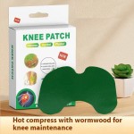 Wormwood Patches Factory - Zalie 12pcs Herbal Knee Pain Relief Pack