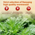 Knee Pain Patches Factory - Herbal Long-Lasting Safe Effective Relief