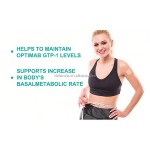 Nutrition Patch Factory - Topical GLP-1 Natural Ingredients Body Care