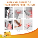 Anal Ointment Supplier - Hemorrhoids Cream Pain Relief Swelling Care