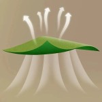 Slimming Patch Factory - Best Selling Products Herbal Belly Button Sticker