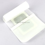 Cervical Sticker Manufacturer - New Product Wormwood Neck Shoulders Pain