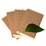 Pain Relief Patch Supplier - Chinese Natural Herbal Cooling Gel Plaster