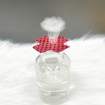 Decorative Nipple Cover Factory - Hot Sale Ladies Disposable Polyester