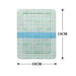 Transdermal Plaster Supplier - Factory Direct Sales 100% Natural Herbal