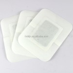 Cervical Sticker Manufacturer - New Product Wormwood Neck Shoulders Pain