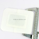 Cervical Sticker Manufacturer - New Product Wormwood Neck Shoulders Pain