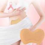 Urine Leakage Patch Manufacturer - Best-selling Postpartum Relief Female