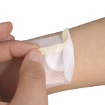 Acupoint Patch Factory - Factory Direct Sale Hot-rolled Cloth Blank Sanfu