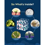 Sleep Patch Manufacturer - OEM/ODM Melatonin Herbal Extracts Custom