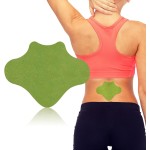 Lumbar Spine Patch Manufacturer - Factory Wholesale Wormwood Back Waist