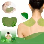 Herbal Plaster Supplier - Healthcare Herbal Pain Relief Ginger Wormwood