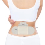 Moxa Plaster Supplier - Factory Wholesale Hot Moxibustion Natural Herb