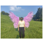 Angel Wings Manufacturer - OEM Small Children Ostrich Feather
