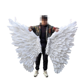 Fairy Wings Manufacturer - OEM Custom Butterfly Girl Costume