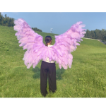 Angel Wings Manufacturer - OEM Small Children Ostrich Feather
