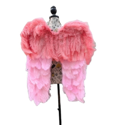 Angel Wings Manufacturer - OEM Small Children Ostrich Feather