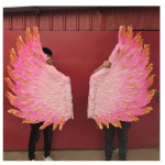 Fairy Wings Manufacturer - OEM Custom Butterfly Girl Costume