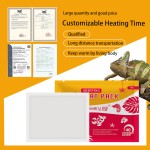 Shipping Warmer Factory - 110 Hours Winter Use Live Tropical Fish Shipment