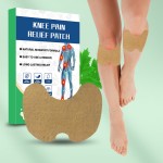 Knee Pain Patch Factory - New Arrival Chinese Herbal Hot Moxibustion Chili