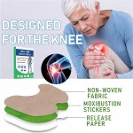 Arthritis Patch Factory - Extra Strength Disposable Fast Acting Herbal Mugwort