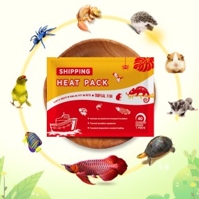 Heat Packs Supplier - Customized 110 Hour Continuous Heat Animal Plant