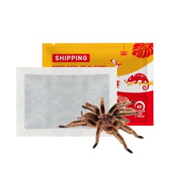 Heat Pack Supplier - 96 Hour Hand Warmers Pets Shipping 40/72 Hour Disposable