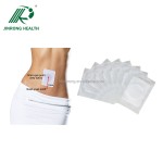 Slim Patch Supplier - OEM Portable Antiallergic Beauty Care
