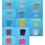 Lip Brush Supplier - OEM Disposable Multicolor Hollow Wand