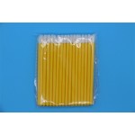 Lip Brush Manufacturer - OEM Transparent Good Material Applicator