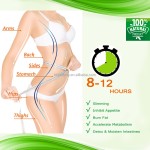 Weight Loss Patches Supplier - OEM Fast Lose Chinese Medicine
