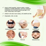 Weight Loss Patches Supplier - OEM Fast Lose Chinese Medicine